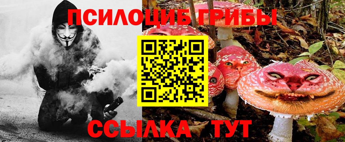 Псилоцибиновые грибы Magic Shrooms  Псилоцибиновые грибы мицелий  Вход с VPN  Тверь 